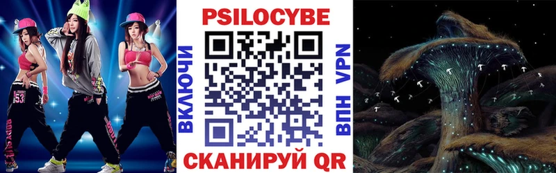 OMG ссылки Верещагино Галлюциногенные грибы Magic Shrooms